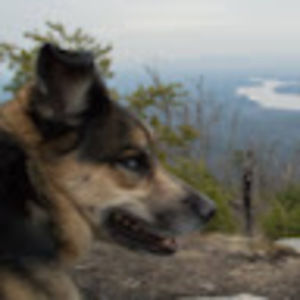 Meet your Posher, Thomas